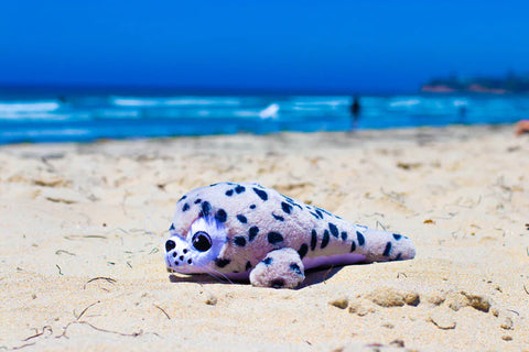 SHORE BUDDIES Sammy The Seal soft toy