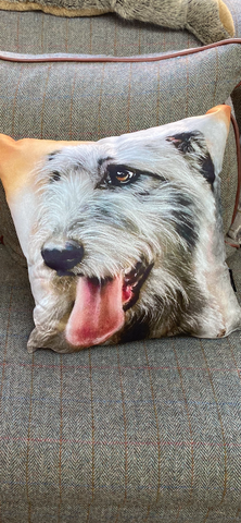 JULIE TARR ART CUSHION ‘ Watching You’